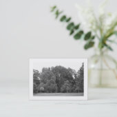 Bäume, Bute Park, Cardiff Visitenkarte (Stehend Vorderseite)