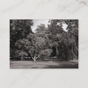 Bäume, Bute Park, Cardiff. Warmes SW Visitenkarte