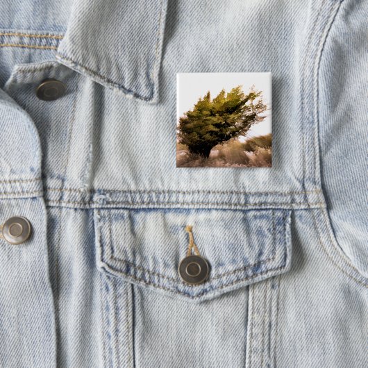 BÄUME BUTTON (Beispiel)