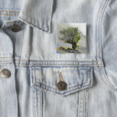 BÄUME BUTTON (Beispiel)