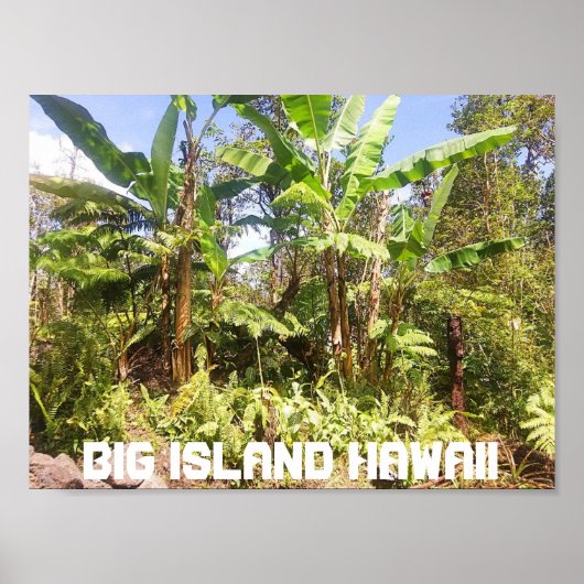 BÄUME DER GROSSEN INSEL HAWAII BANANA POSTER (Vorne)