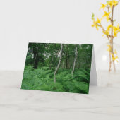 Bäume der silbernen Birke und Farne, Sherwood Karte (Gelbe Blume)