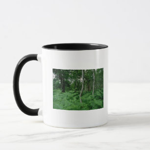 Bäume der silbernen Birke und Farne, Sherwood Tasse