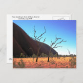 Bäume des Ayers Rock Postkarte (Vorne/Hinten)