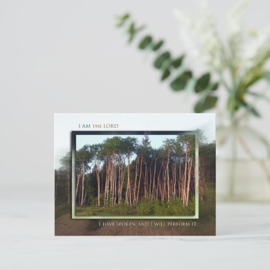 Bäume des Felds Postkarte (Stehend Vorderseite)