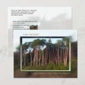 Bäume des Felds Postkarte (Vorne/Hinten)