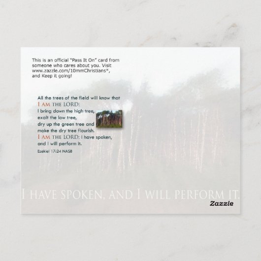 Bäume des Felds Postkarte (Rückseite)