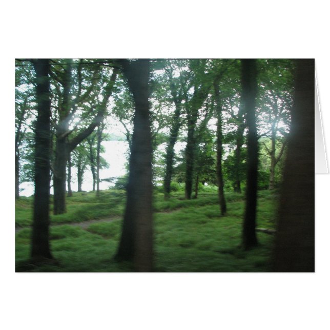 Bäume des Landkreises Kerry (Vorderseite (Horizontal))