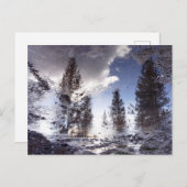 Bäume, die im Regenwasser reflektieren Postkarte (Vorne/Hinten)