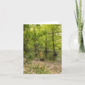 Bäume, die in der Grußkarte mit Blick auf das Wass Karte (Vorderseite)