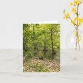 Bäume, die in der Grußkarte mit Blick auf das Wass Karte (Gelbe Blume)