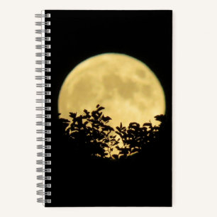 Bäume, die von Vollmond beleuchtet werden Notizblock