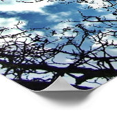 Bäume dramatisches Himmelsposter Poster (Ecke)