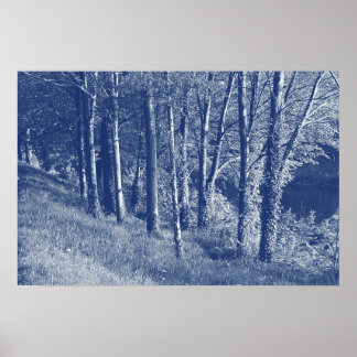Bäume durch einen Fluss - Cyanotypeffekt Poster