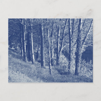 Bäume durch einen Fluss - Cyanotypeffekt Postkarte