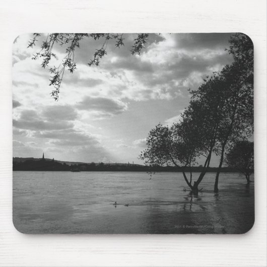 Bäume durch See B&W Mousepad (Vorne)