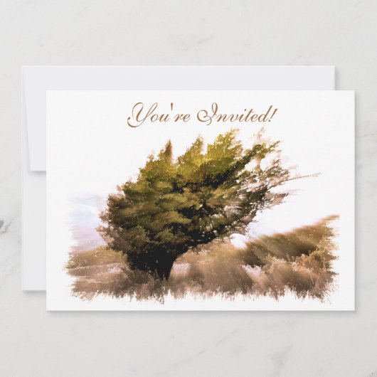 BÄUME EINLADUNG (Vorderseite)