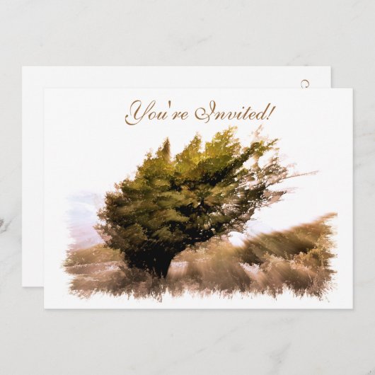 BÄUME EINLADUNG (Vorne/Hinten)