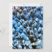 BÄUME EINLADUNG (Vorderseite)