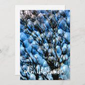 BÄUME EINLADUNG (Vorne/Hinten)