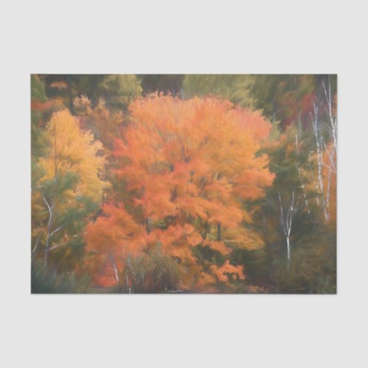 Bäume Fall Wald Orange Gelb schön Seidenpapier (Vorderseite)