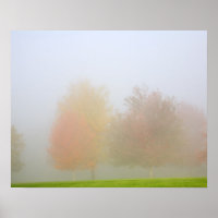 Bäume fallen in Nebel
