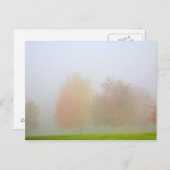 Bäume fallen in Nebel Postkarte (Vorne/Hinten)