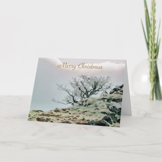 BÄUME FEIERTAGSKARTE (Vorderseite)