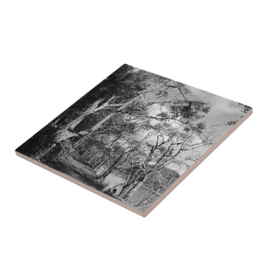 BÄUME FLIESE (Seite)