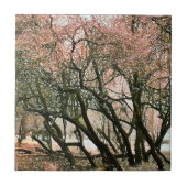 BÄUME FLIESE (Vorderseite)