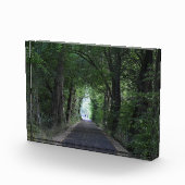 Bäume Fotoblock (Rechts)
