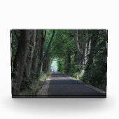 Bäume Fotoblock (Vorderseite)