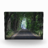 Bäume fotoblock (Vorderseite)