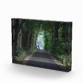 Bäume fotoblock (Rechts)