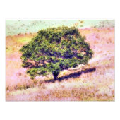 BÄUME FOTODRUCK (Vorne)