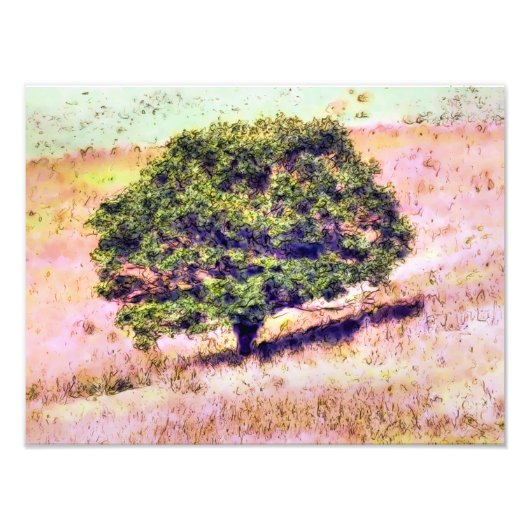 BÄUME FOTODRUCK (Vorne)