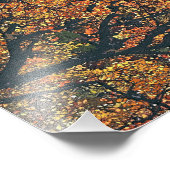 BÄUME FOTODRUCK (Ecke)