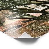 BÄUME FOTODRUCK (Ecke)