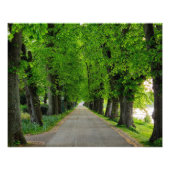 Bäume Fotodruck (Vorne)