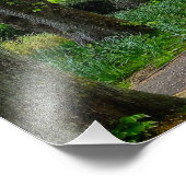 Bäume Fotodruck (Ecke)