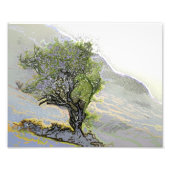 BÄUME FOTODRUCK (Vorne)