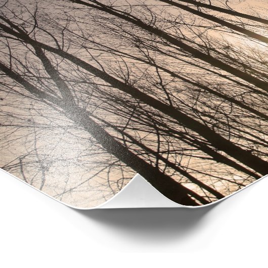 Bäume Fotodruck (Ecke)