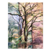 BÄUME FOTODRUCK (Vorne)