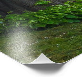 Bäume Fotodruck (Ecke)