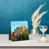 BÄUME FOTOPLATTE (InSitu)