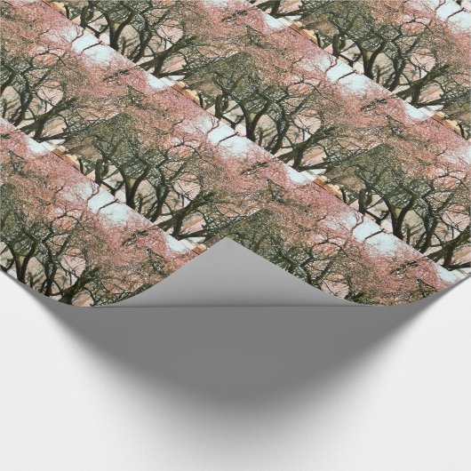 BÄUME GESCHENKPAPIER (Ecke)