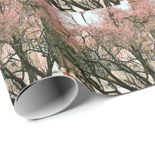 BÄUME GESCHENKPAPIER (Rolleneckpunkt)