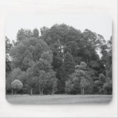 Bäume im Bute Park, Cardiff - BW Mousepad (Vorne)
