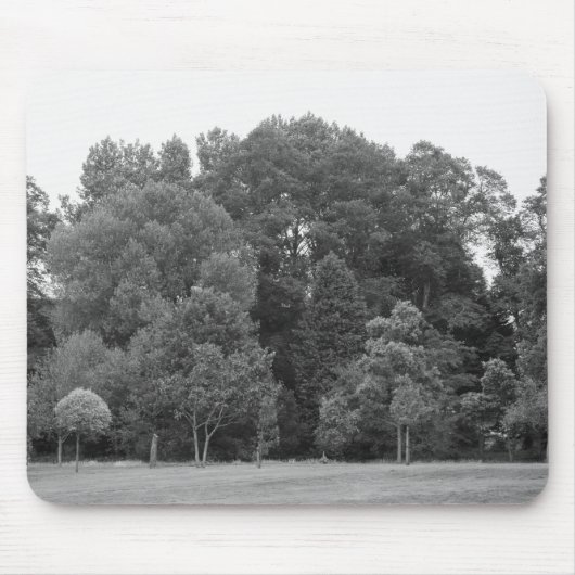 Bäume im Bute Park, Cardiff - BW Mousepad (Vorne)