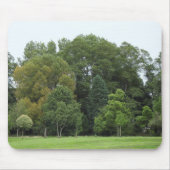 Bäume im Bute Park, Cardiff Mousepad (Vorne)